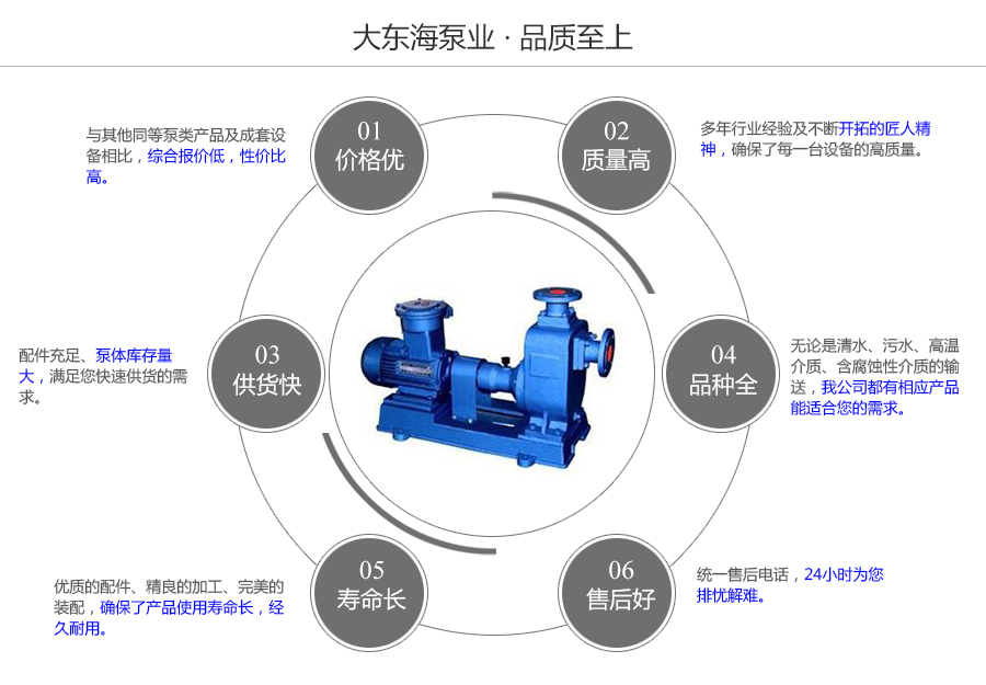 大東海泵業(yè)自吸式油泵質量保證圖